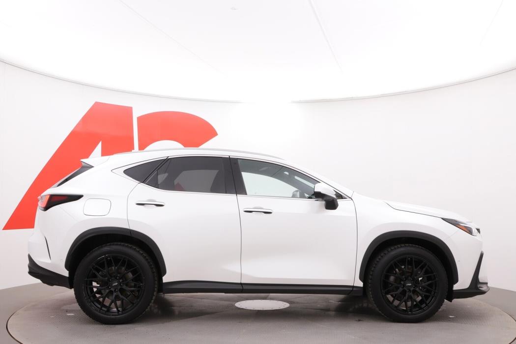LEXUS NX 2022
