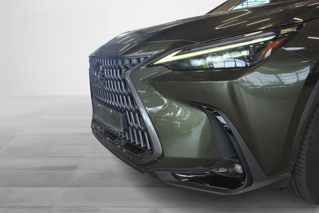 Lexus NX 2023