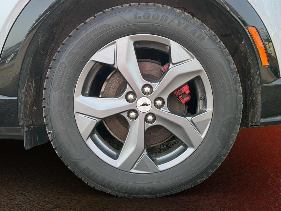 FORD Mustang Mach-E 2022