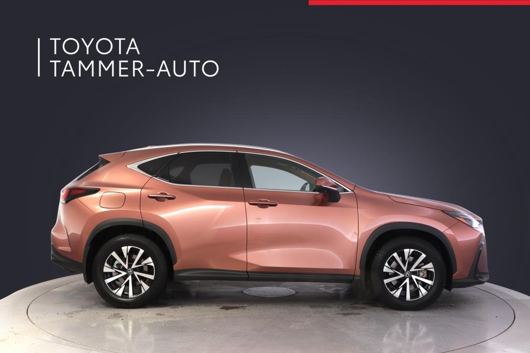LEXUS NX 2025