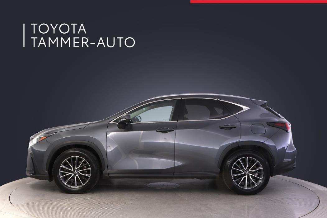 LEXUS NX 2024