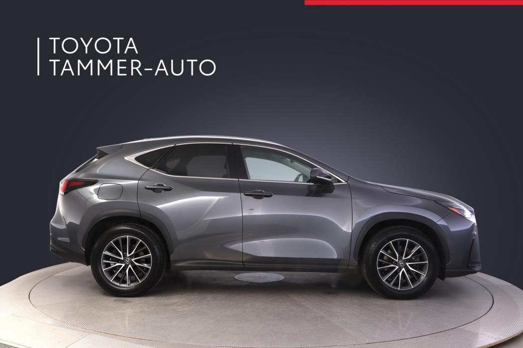 LEXUS NX 2024