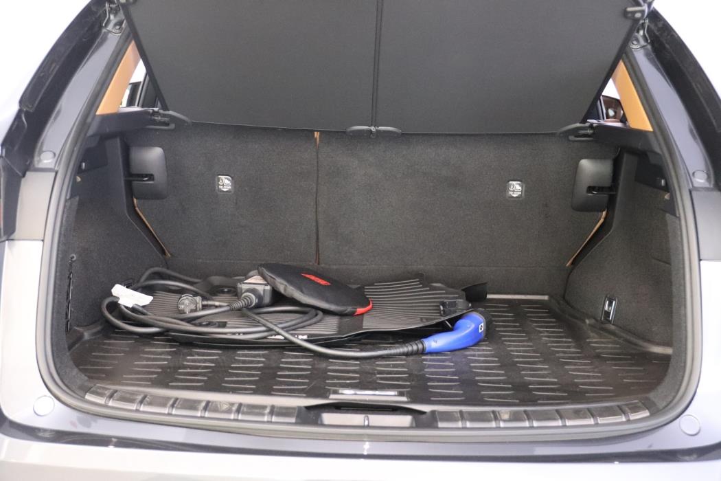 LEXUS NX 2022