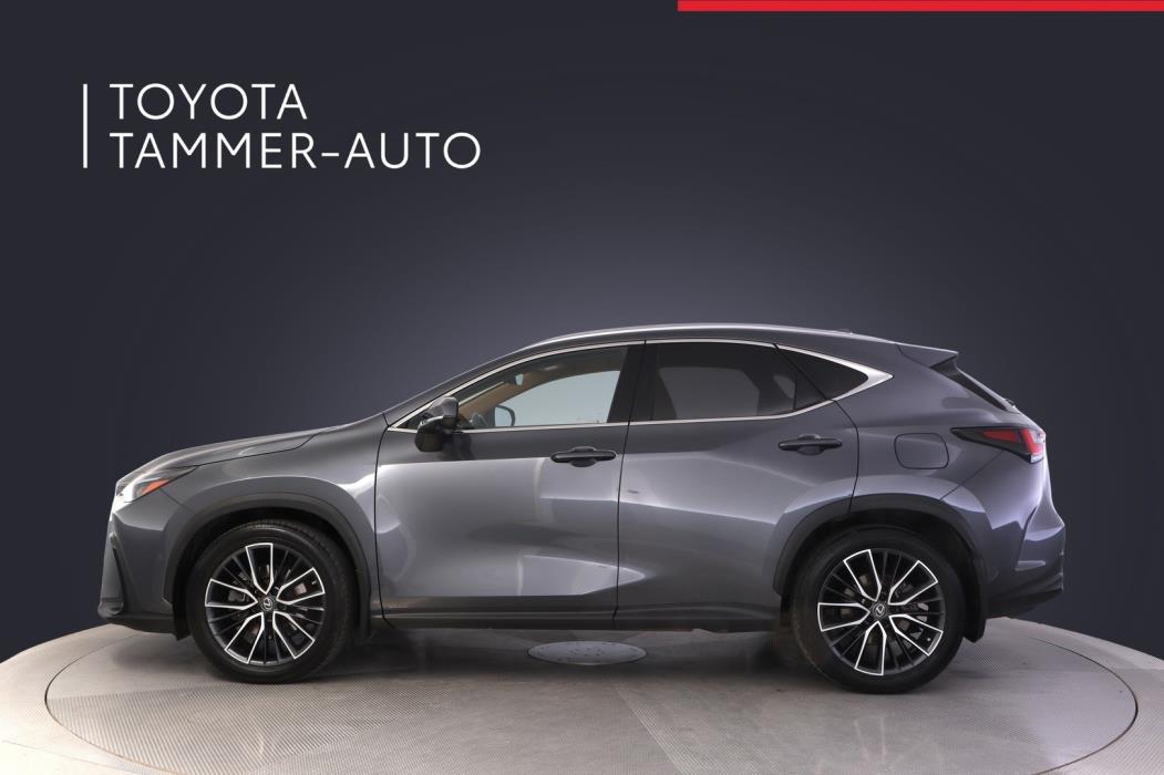 LEXUS NX 2022