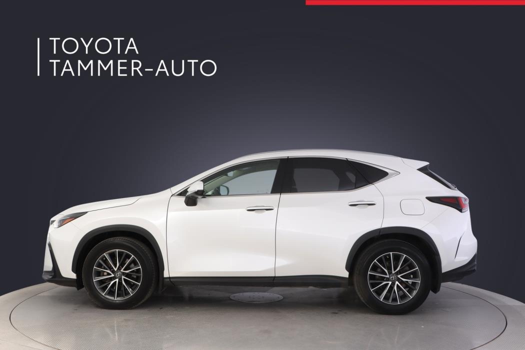 LEXUS NX 2023