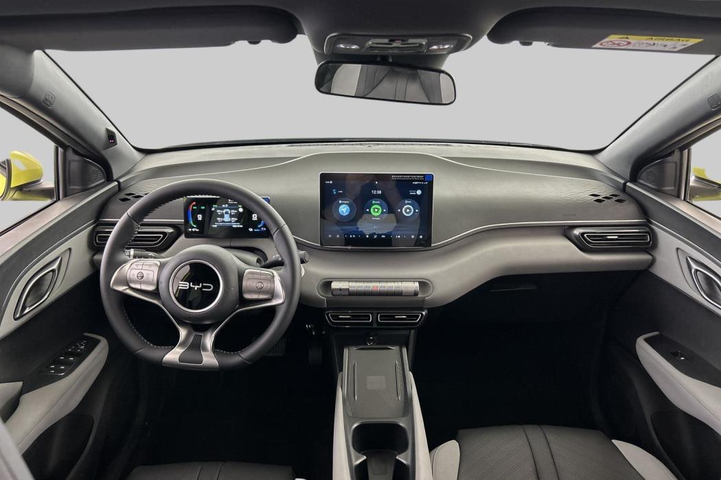 BYD Dolphin Surf 2025