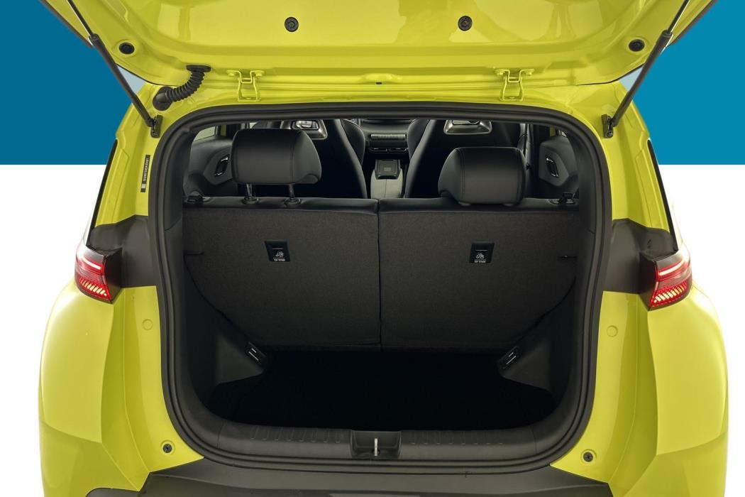 BYD Dolphin Surf 2025