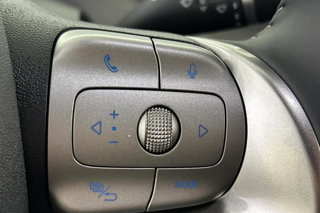 BYD Dolphin Surf 2025