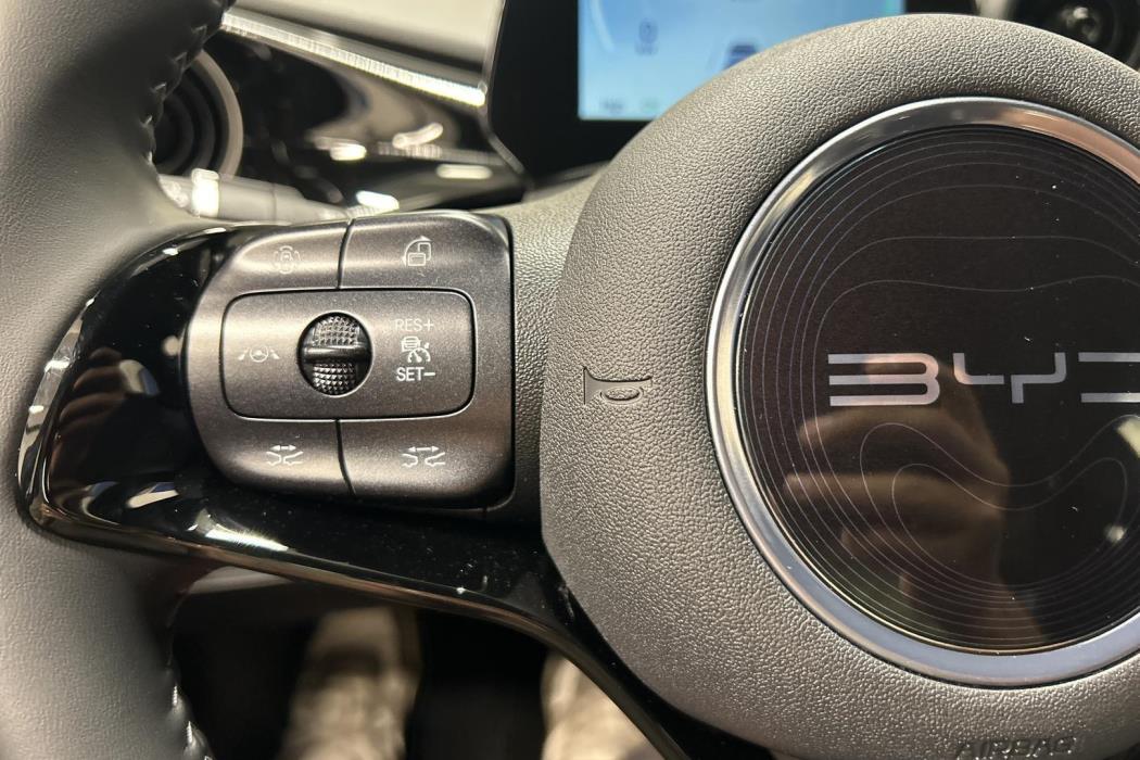 BYD Dolphin 2025