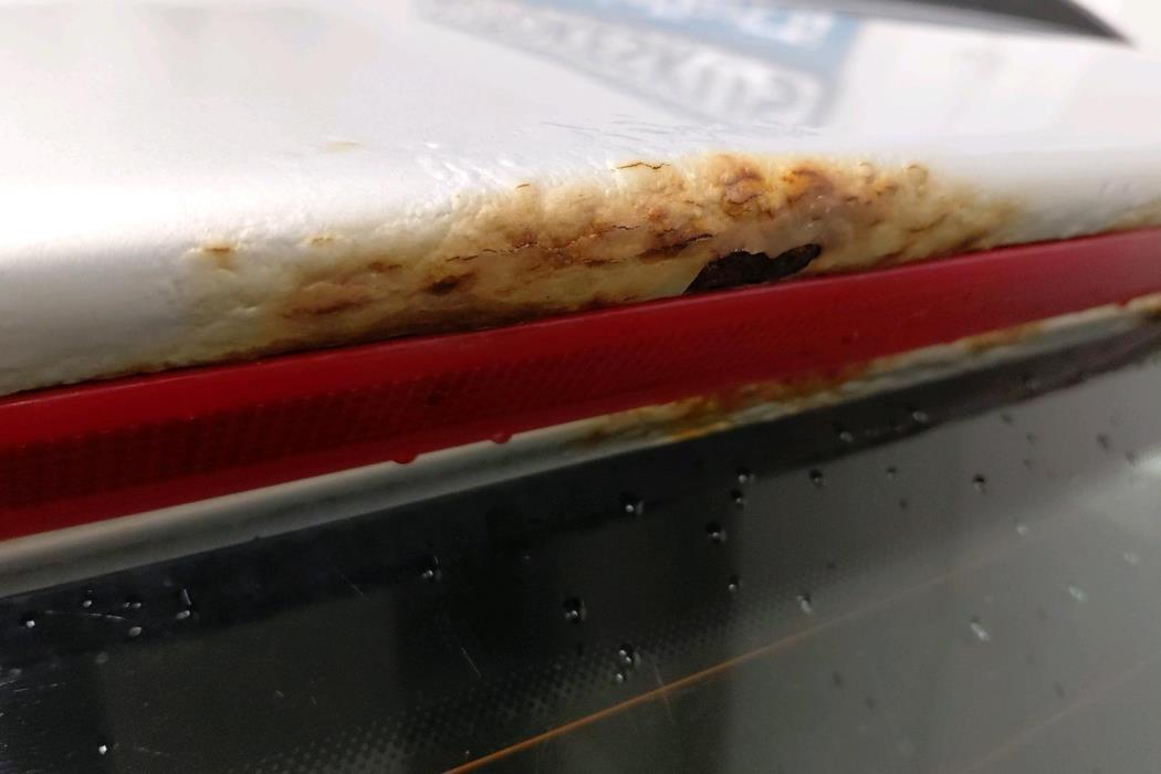 VOLKSWAGEN Passat 2010