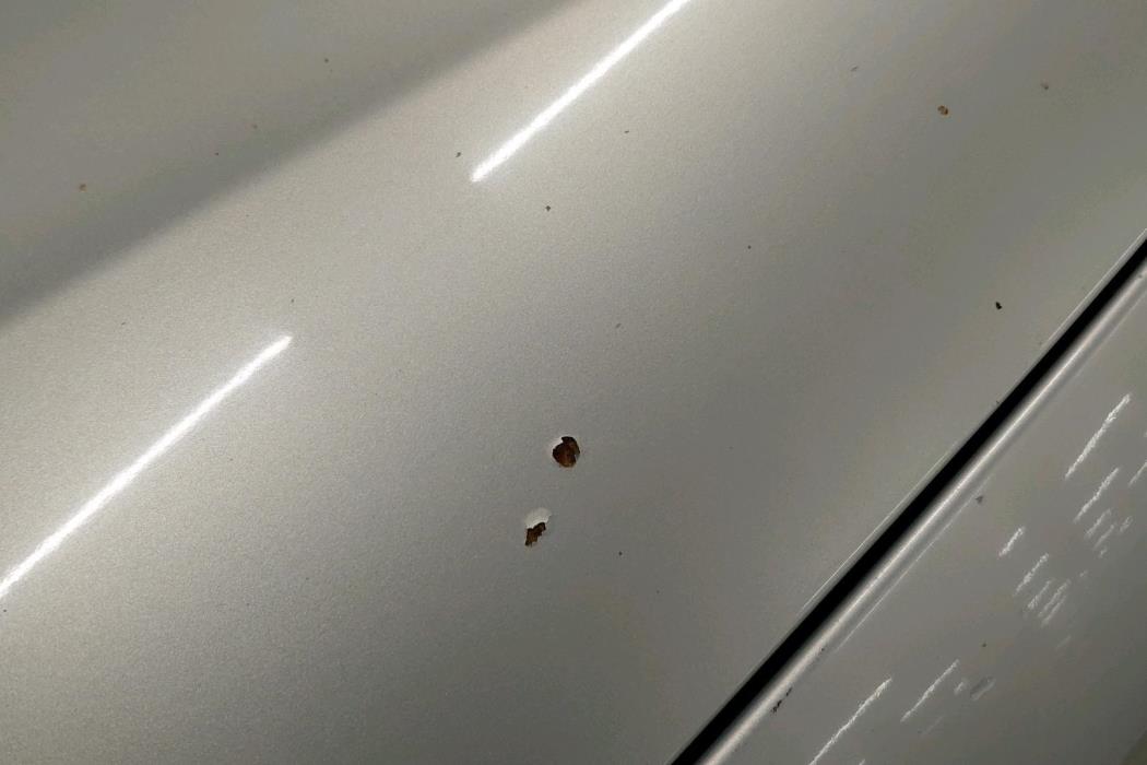 VOLKSWAGEN Passat 2010