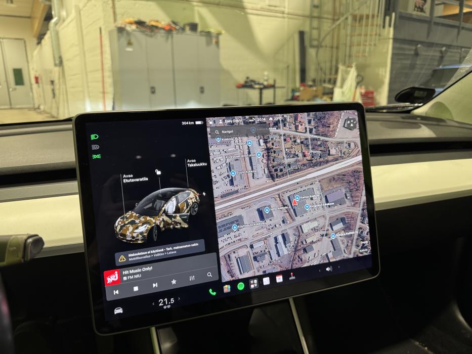 Tesla Model 3 2019
