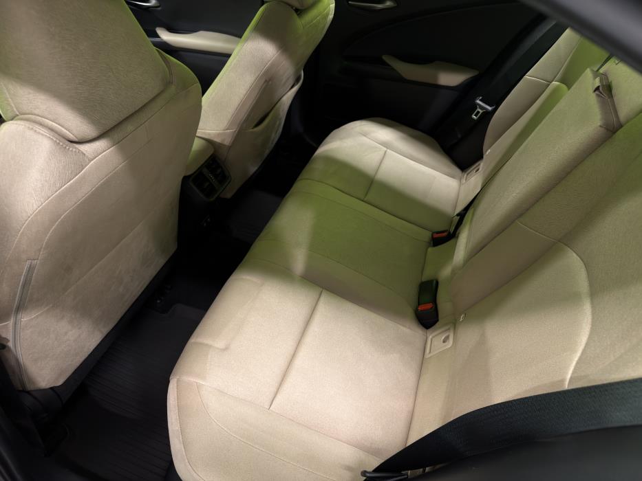 Lexus UX 2019