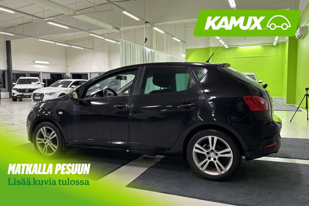 Seat Ibiza 2010
