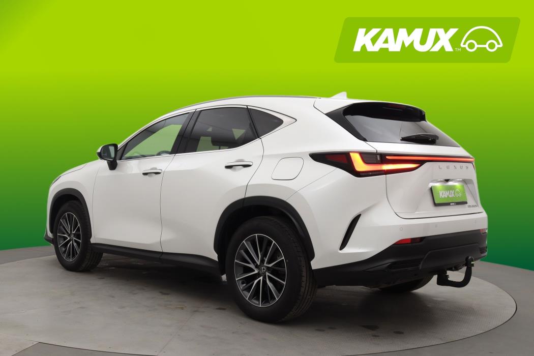 Lexus NX 2024