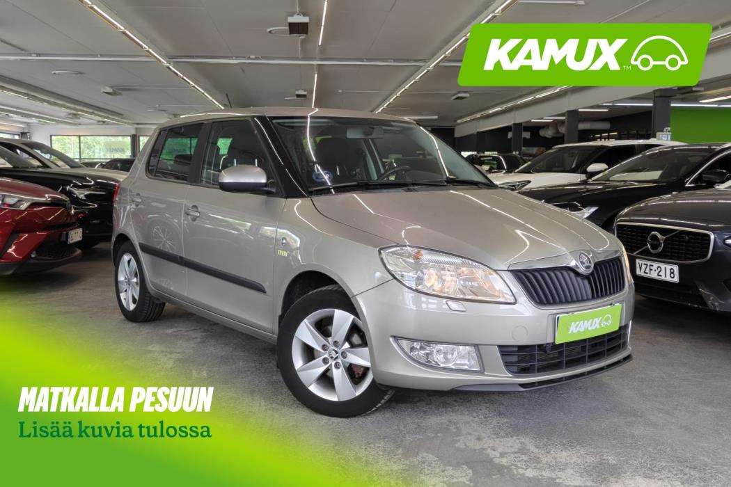 Skoda Fabia 2013