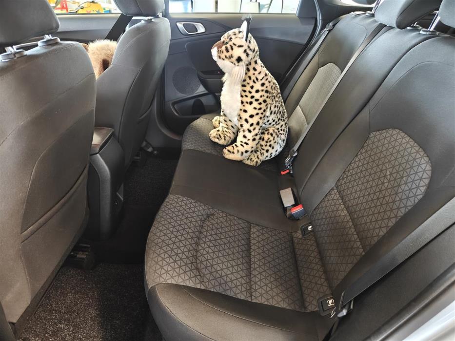 KIA CEED 2023