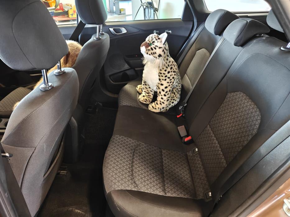 KIA CEED 2023