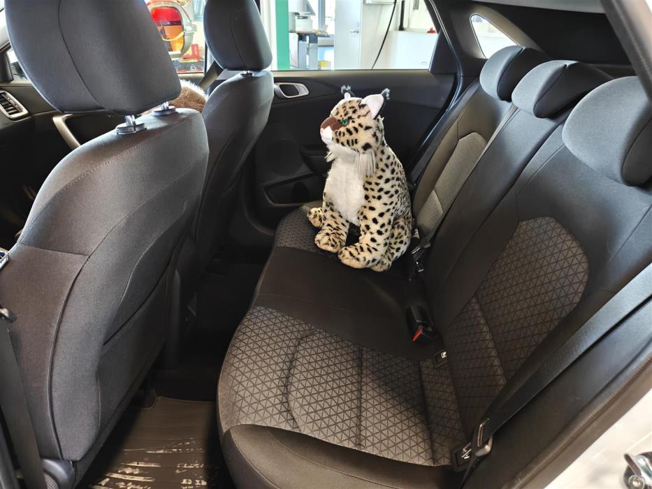 KIA CEED 2024