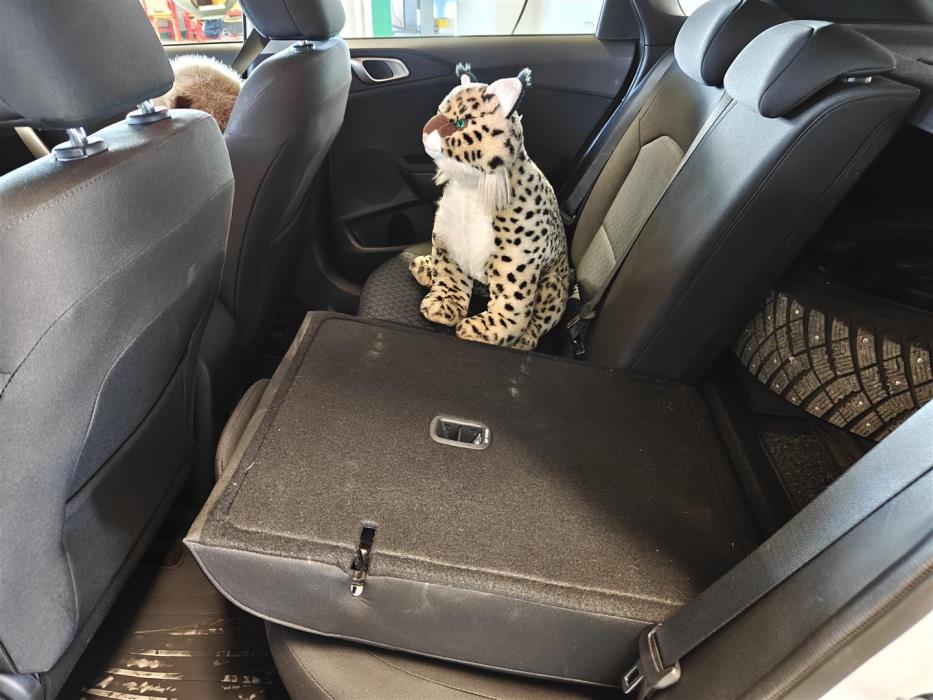 KIA CEED 2024