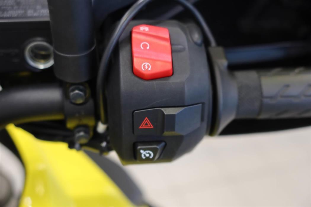 Suzuki DL 2021