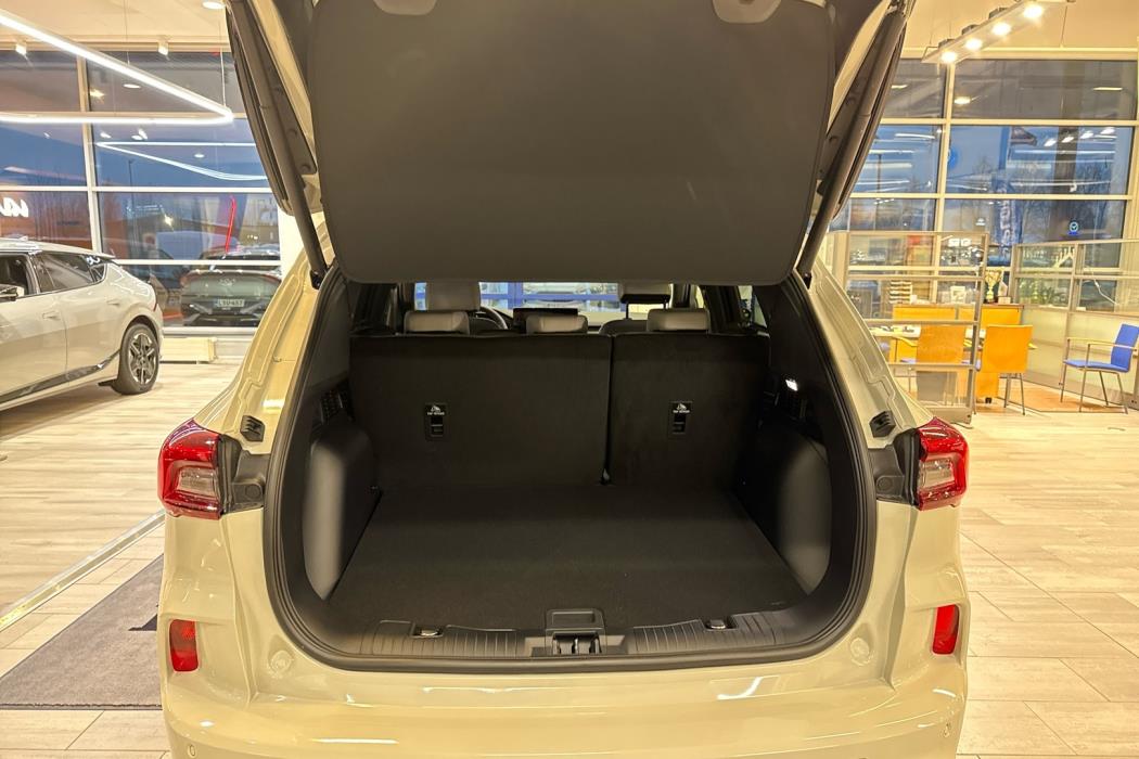 FORD Kuga 2026