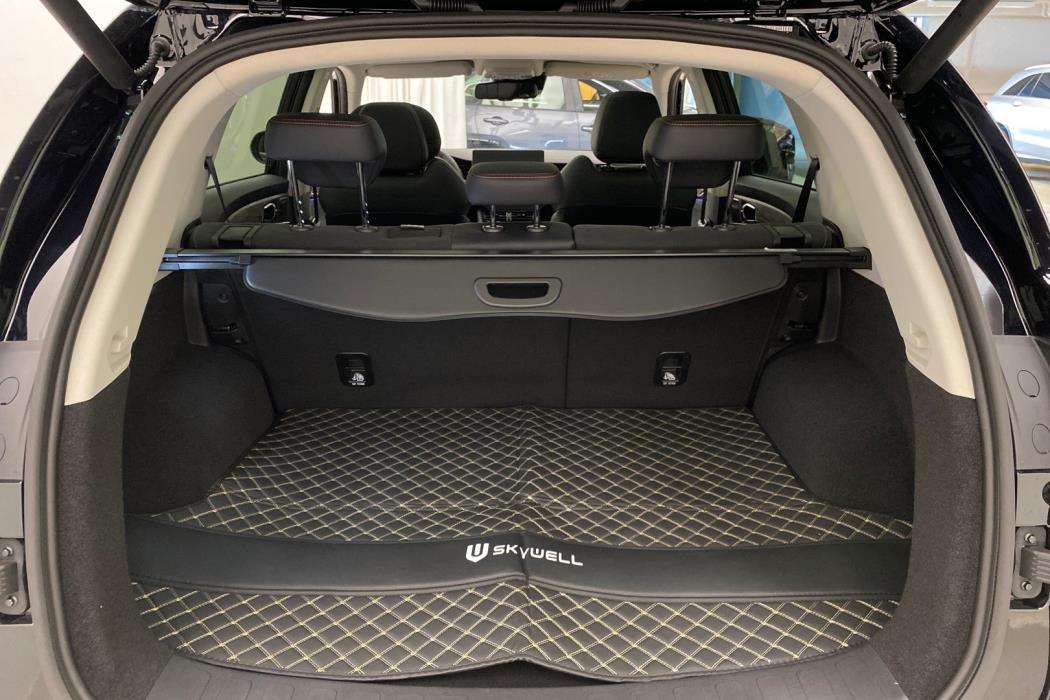 SKYWELL BE11 2024