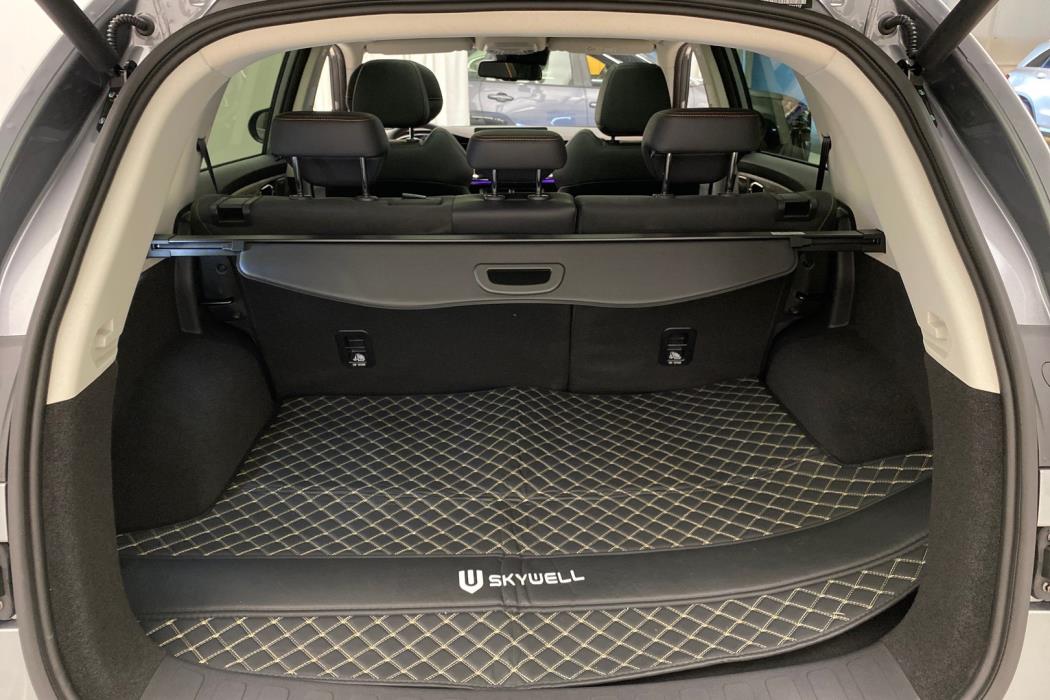 SKYWELL BE11 2025