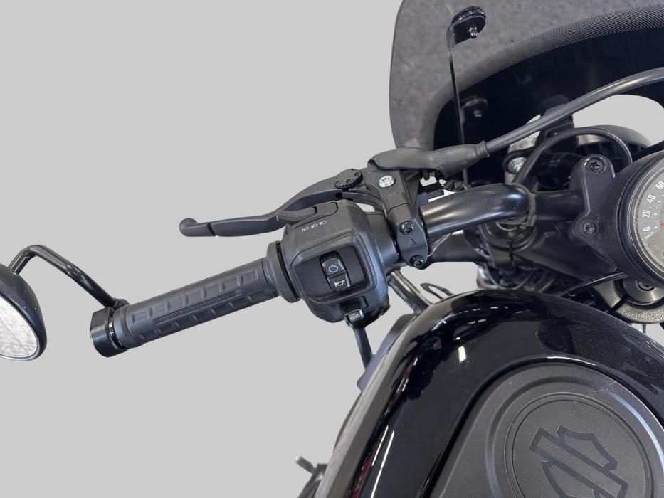 HARLEY-DAVIDSON SPORTSTER 2022