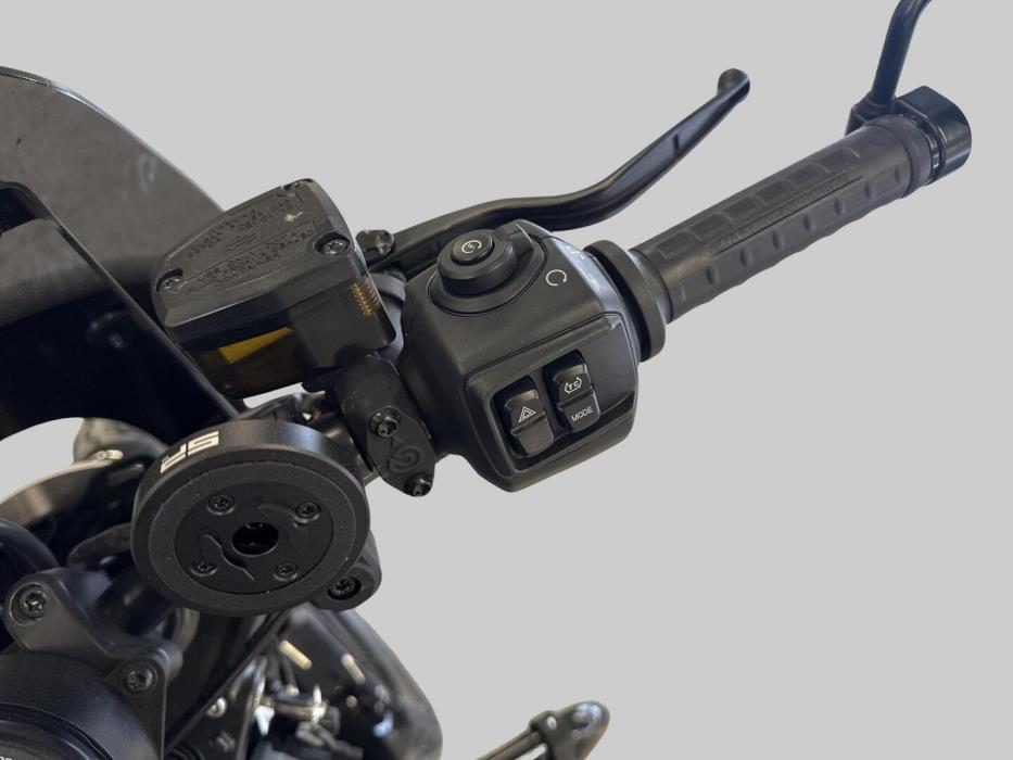 HARLEY-DAVIDSON SPORTSTER 2022