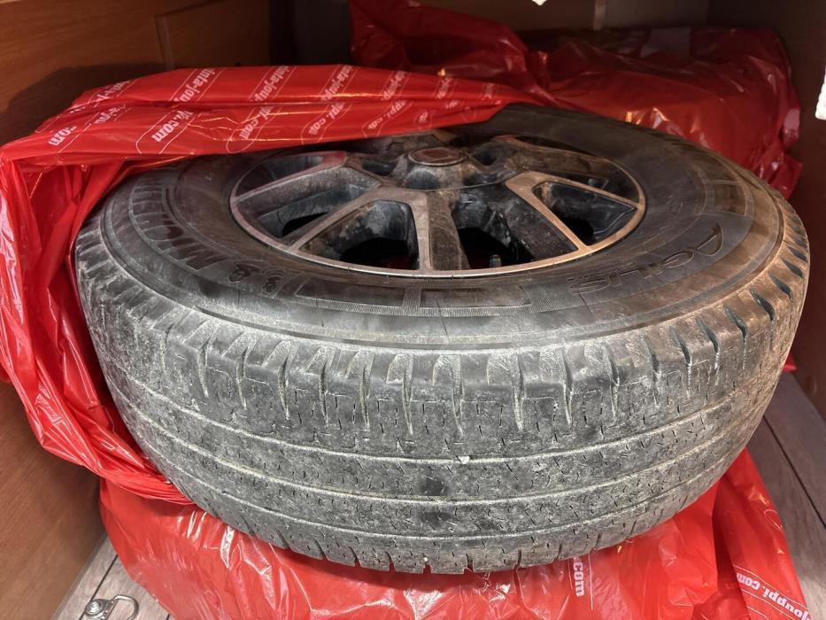 WEINSBERG Carabus 600 MQ 2022