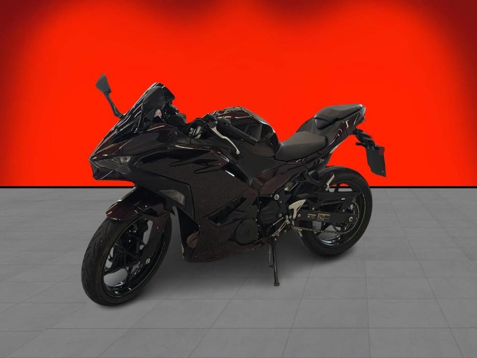 KAWASAKI NINJA 2024