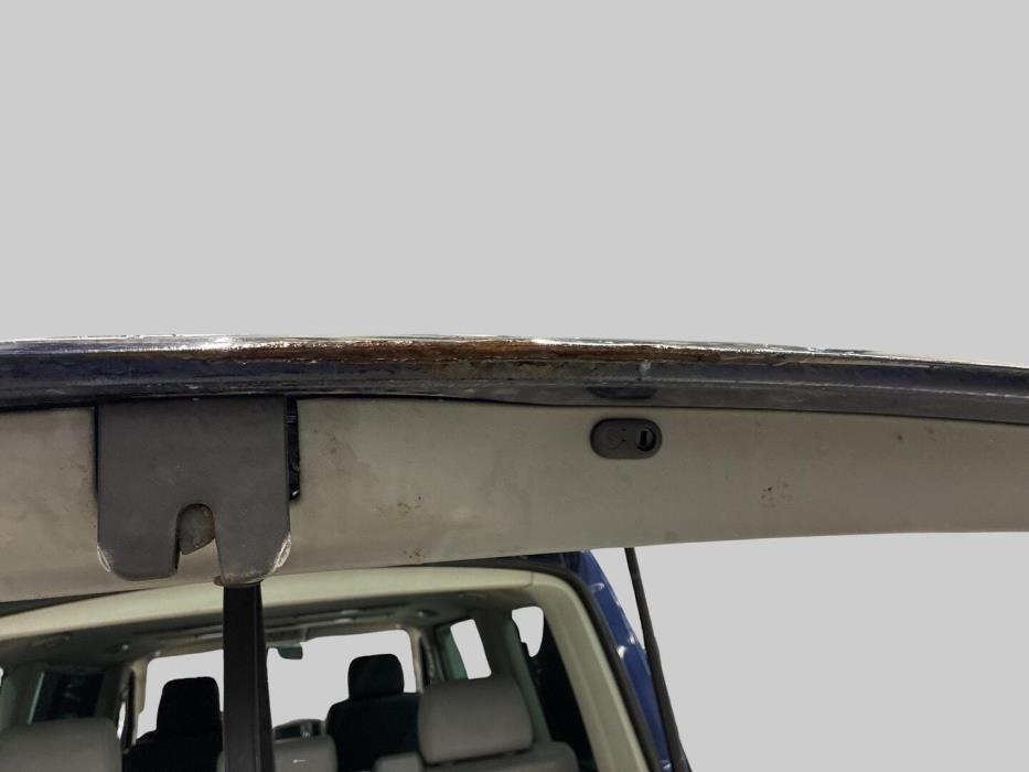 VOLKSWAGEN Multivan 2007