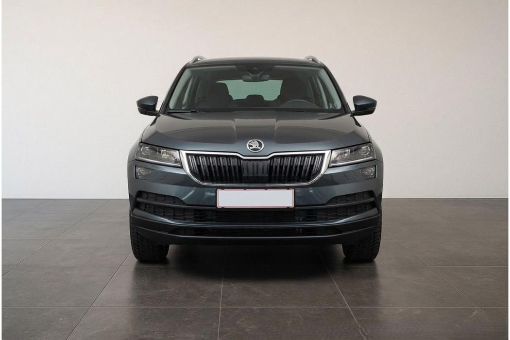 SKODA KAROQ 2019