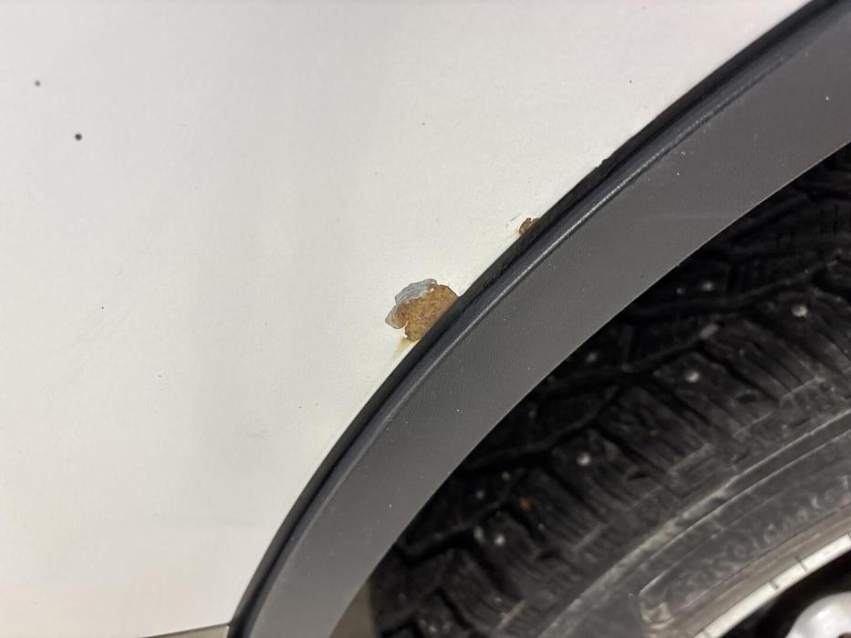 VOLKSWAGEN Touareg 2010