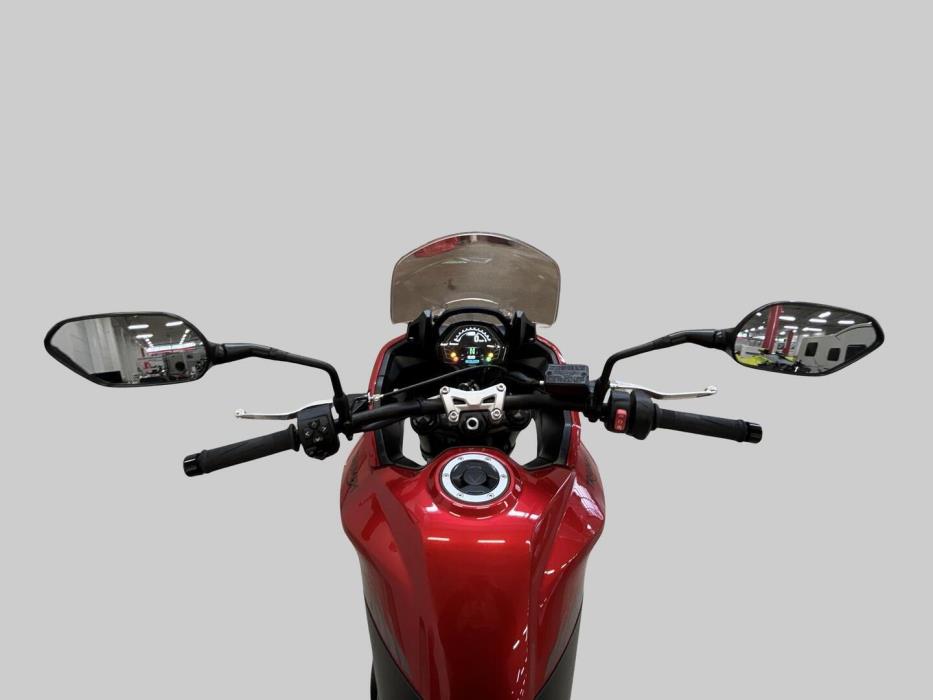 TRIUMPH TIGER 2025