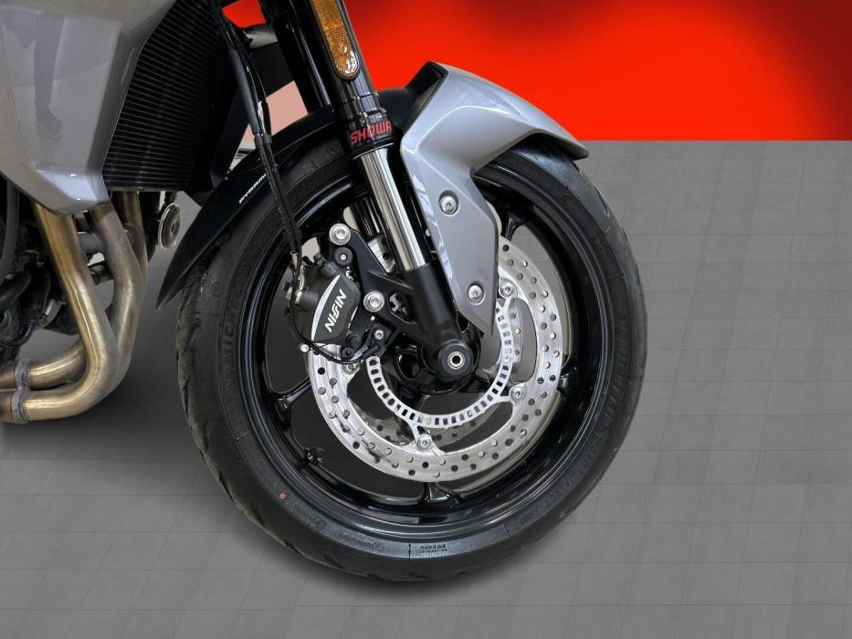 TRIUMPH TIGER 2025