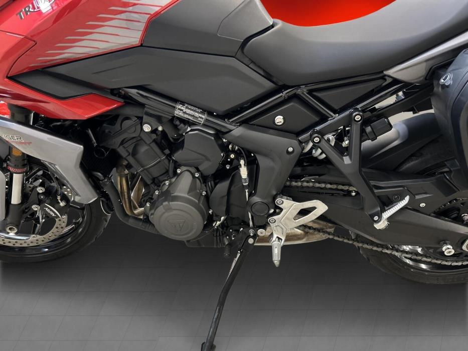 TRIUMPH TIGER 2025