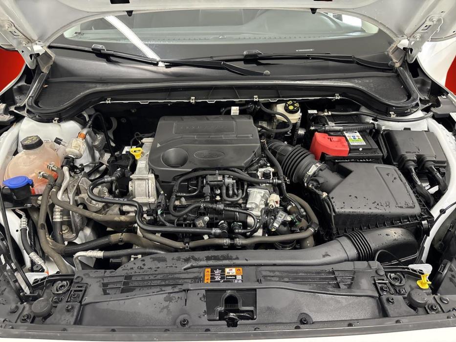 FORD Focus 2019