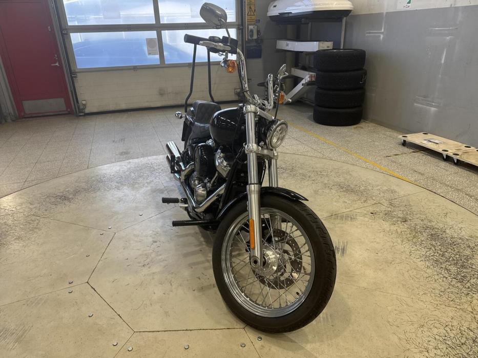 HARLEY-DAVIDSON SOFTAIL 2021