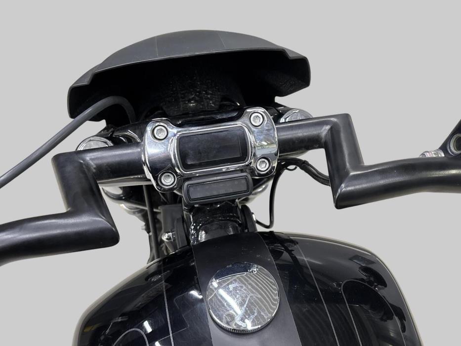 HARLEY-DAVIDSON SOFTAIL 2018