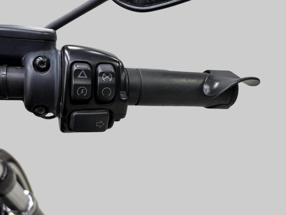 HARLEY-DAVIDSON SOFTAIL 2018