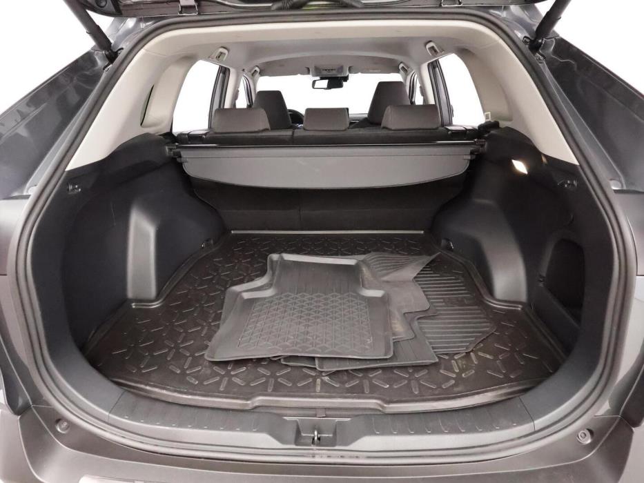 TOYOTA RAV4 2024