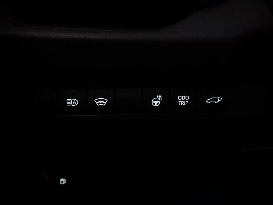 TOYOTA RAV4 2024