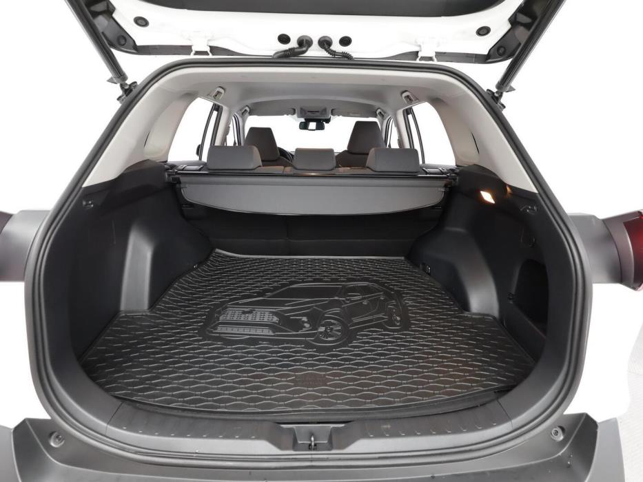 TOYOTA RAV4 2020