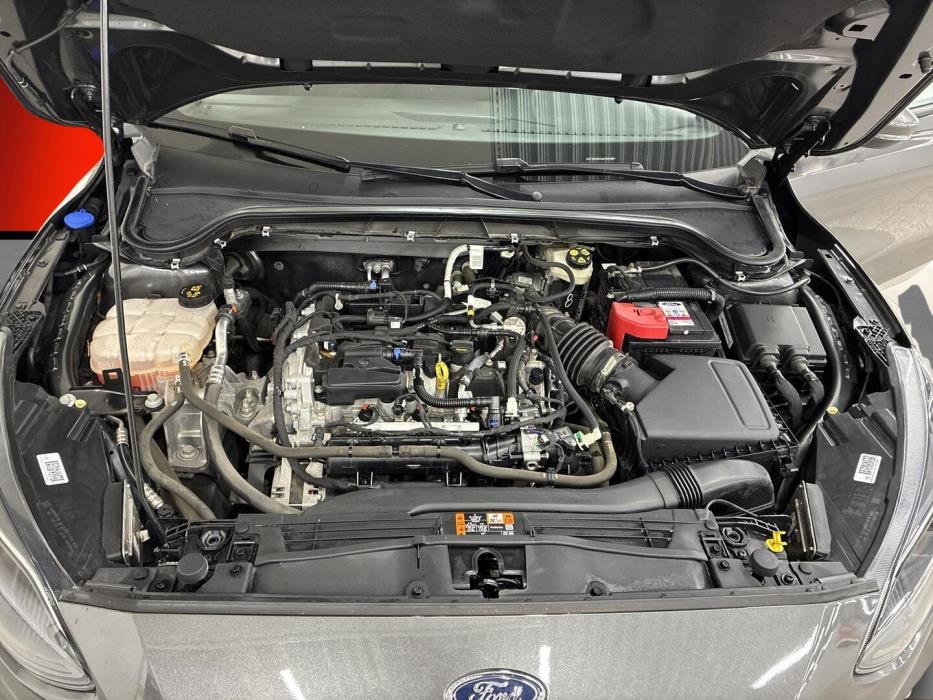 FORD Focus 2022