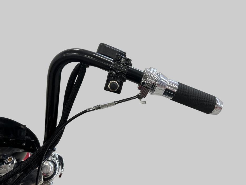 HARLEY-DAVIDSON SOFTAIL 1997