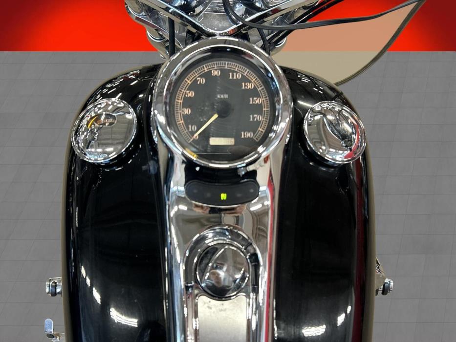 HARLEY-DAVIDSON SOFTAIL 2002