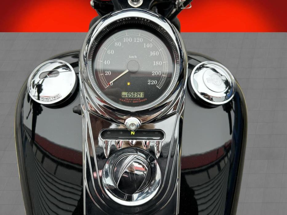 HARLEY-DAVIDSON SOFTAIL 2005