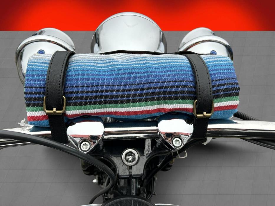 HARLEY-DAVIDSON SOFTAIL 2005